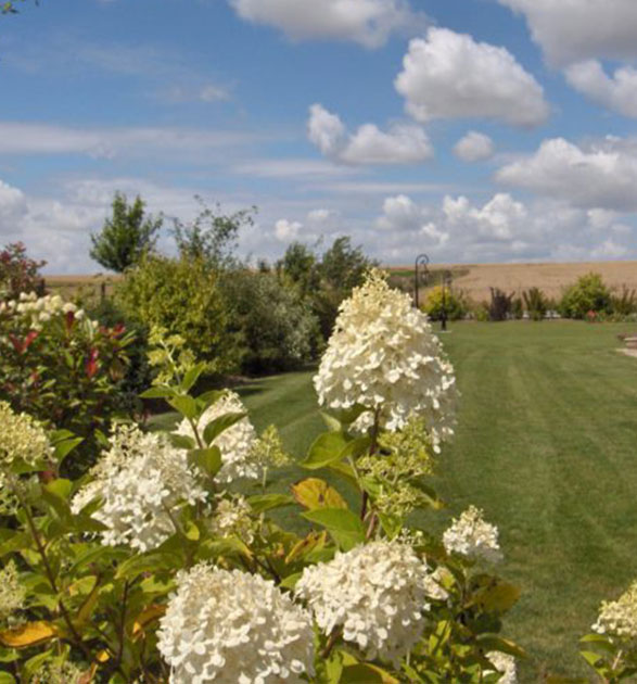 réalisations Cambrésis Paysages